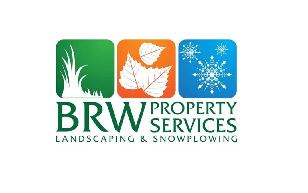 Logo Repair and Restoration