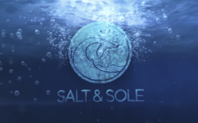 Brand Development for Salt & Sole | New Bedford, MA