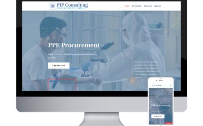 Website Design for PIP Consulting Group | Trumbull, CT