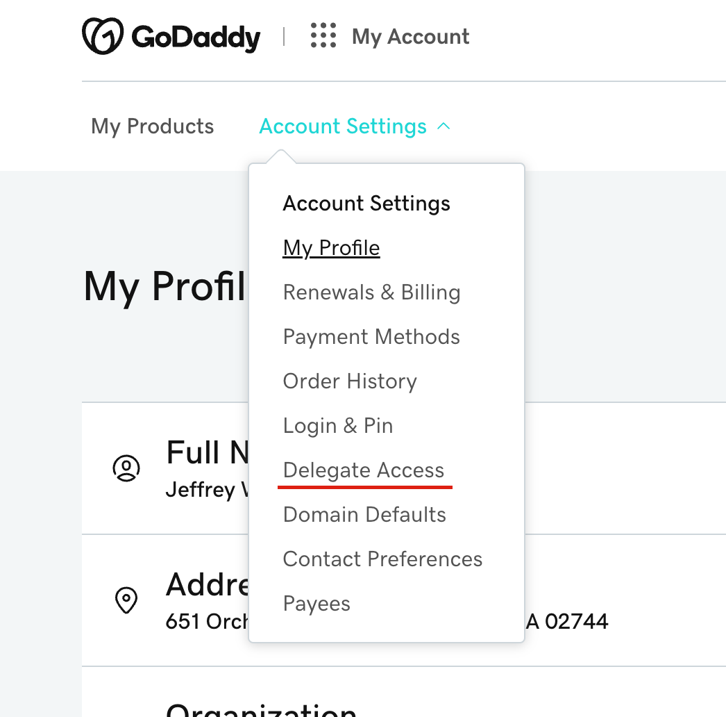 how to grant godaddy delegate access