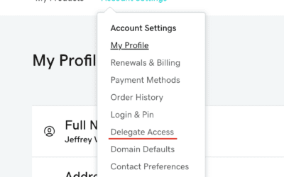 How to Grant Delegate Access in GoDaddy