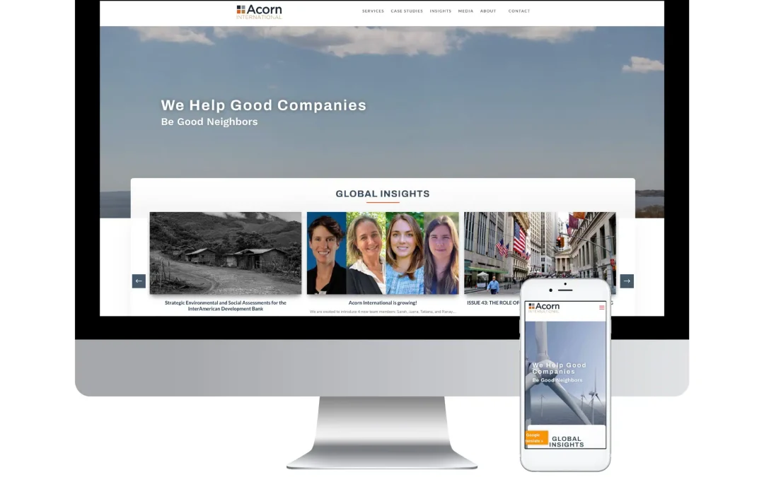 Acorn International Web Design