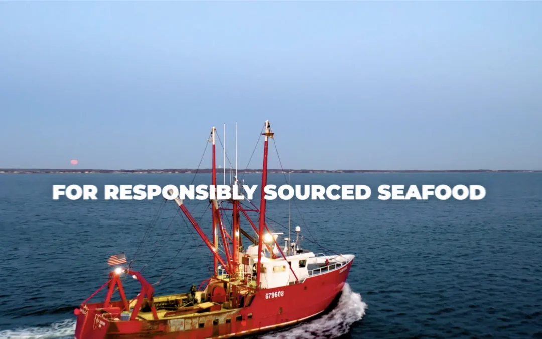 Northern Wind Brand Overview Video