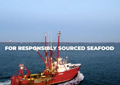 Northern Wind Brand Overview Video